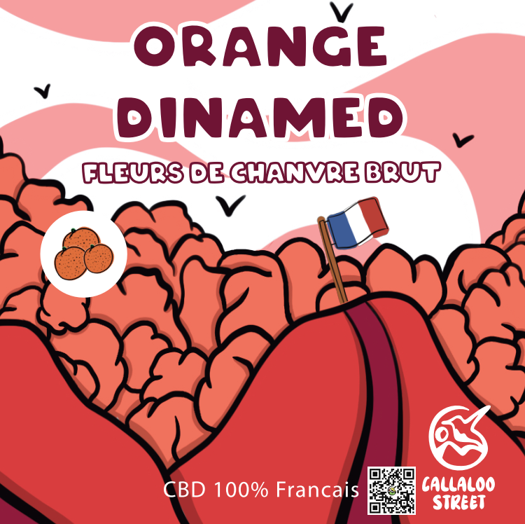 Orange Dinamed CBD 10g