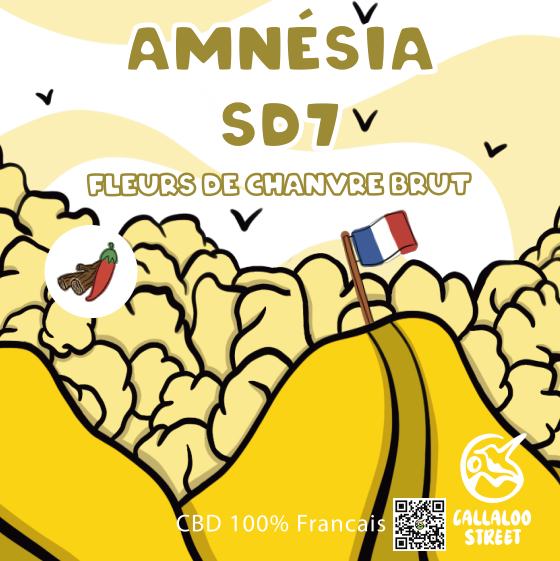 Amnésia SD7 CBD 5g